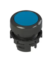 PULSANTE LUMINOSO RASATO BLU PIZZATO ELETTRICA E2 1PL2R6210